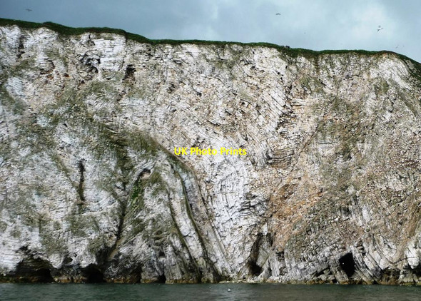 Photo 6"x4" Folded strata, Scale Nab, Bempton Cliffs Bempton c2013