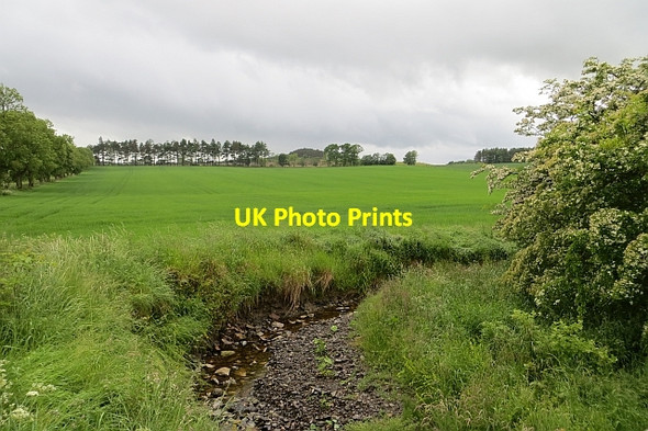 Photo 6"x4" Huntlaw Burn Newlands\/NT5321 c2013