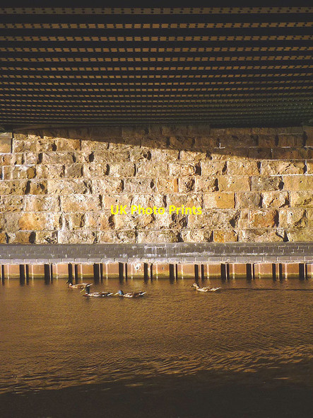 Photo 6"x4" Ducks under the railway bridge, Lancaster Canal Capernwray c2013