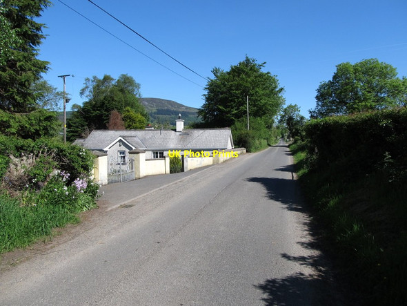 Photo 6"x4" A cottage on Dernaroy Road Jonesborough c2013