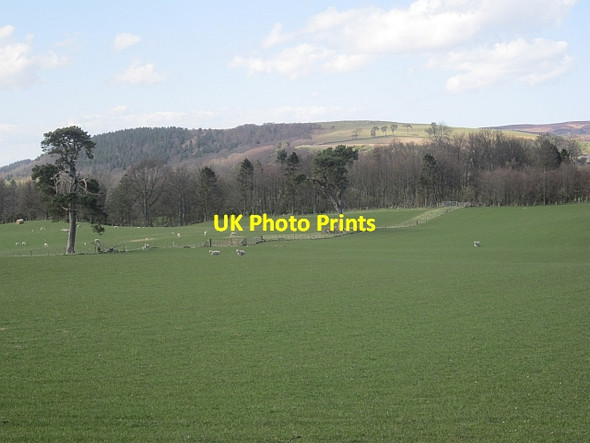 Photo 6"x4" Field near Eglingham Eglingham c2013