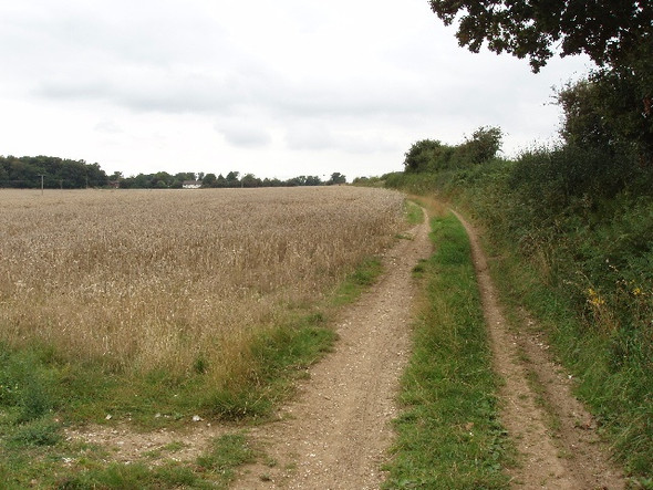 Photo 6"x4" Bridleway from Handy Cross to Clayhill Booker c2008