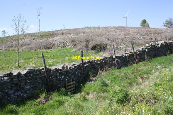 Photo 6"x4" Dry stone wall beside Old Scotch Road in Swarther Plantation Beckside\/SD6188 c2013