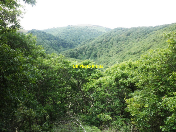 Photo 6"x4" View from Chisel Combe Countisbury c2013