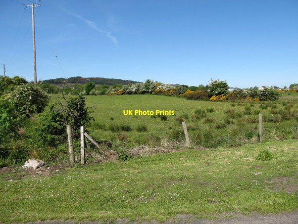 Photo 6"x4" Grazing land west of Ballymona Road Jonesborough c2013