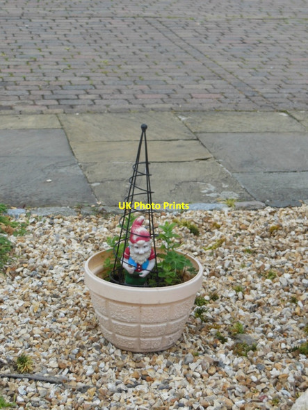 Photo 6"x4" One of the surviving gnomes at the Golden Jubilee Yarm c2013