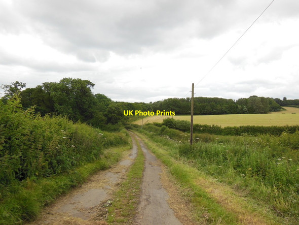 Photo 6"x4" A minor road from High Leys Farm Coxwold c2013