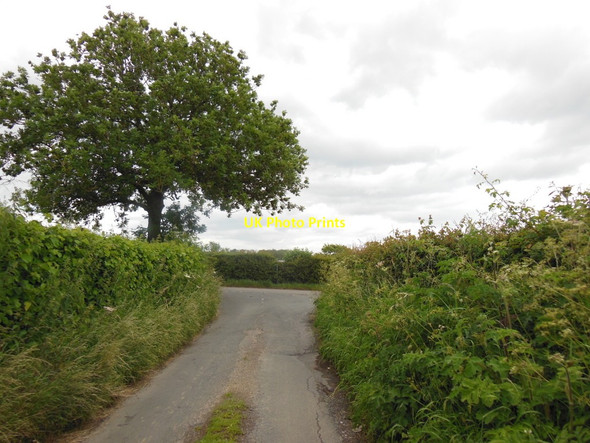 Photo 6"x4" Binsley Lane at Crayke Lane Crayke c2013