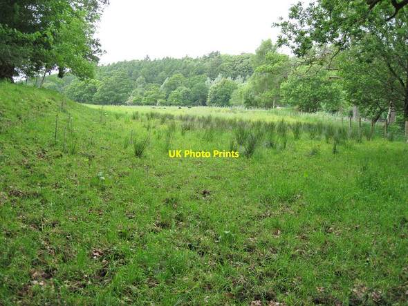 Photo 6"x4" Grazing land near Brydekirk Brydekirk c2013