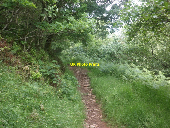 Photo 6"x4" Footpath, above Lyn Cleave Lynton c2013