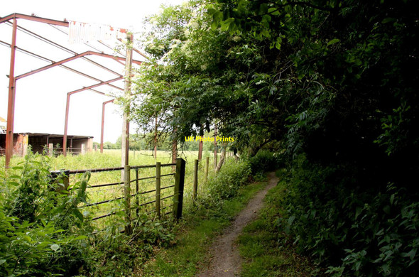 Photo 6"x4" Common Lane by Common Barn Didcot c2013