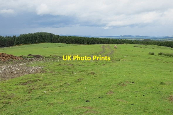 Photo 6"x4" East of Muirfield triangulation pillar Horsleyhill c2013