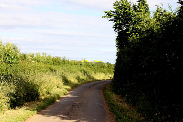 Photo 6"x4" Bablock Hythe Road to Eaton Eaton\/SP4403 c2013