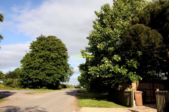 Photo 6"x4" The road to Cumnor and Oxford Eaton\/SP4403 c2013