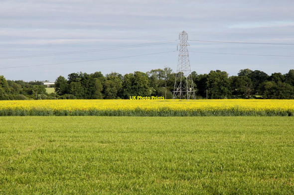 Photo 6"x4" Looking across a field near Eaton Appleton\/SP4401 c2013