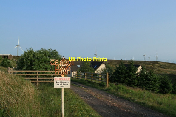 Photo 6"x4" Carrot Moor Farm Eaglesham c2013