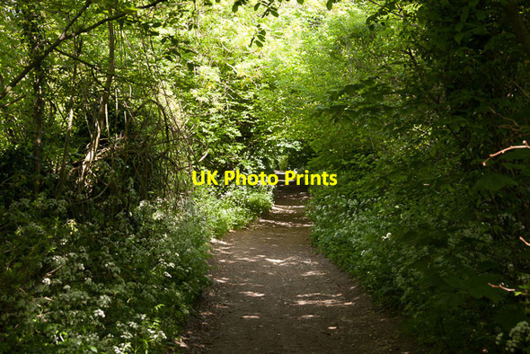 Photo 6"x4" Byway from Clanfield to Hyden Wood Clanfield\/SU7016 c2013