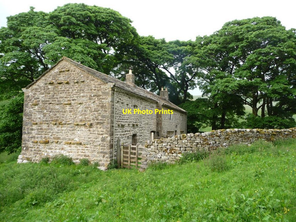 Photo 6"x4" Cowside, Langstrothdale Deepdale\/SD8979 c2013