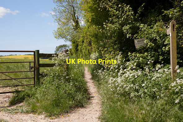 Photo 6"x4" Bridleway from Hinton Manor Lane Clanfield\/SU7016 c2013