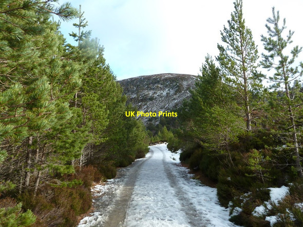 Photo 6"x4" Ryvoan Pass Allt na F\u00e8ith Duibhe c2013
