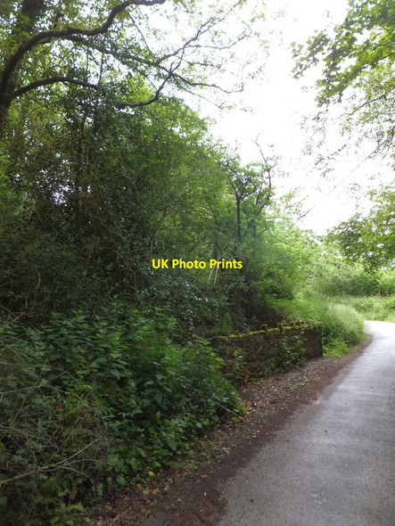Photo 6"x4" Stream bridge at The Holt Ashridge Court c2013