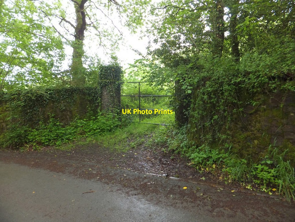 Photo 6"x4" Overgrown gates in Rook Wood Ashridge Court c2013