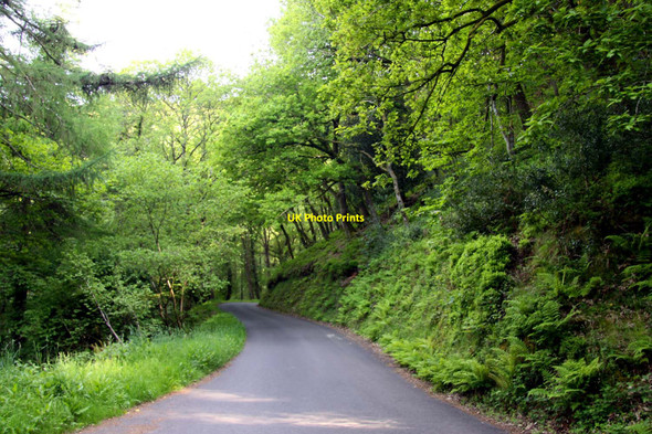 Photo 6"x4" New Road through Combe Meadow Porlock Weir c2013 P1
