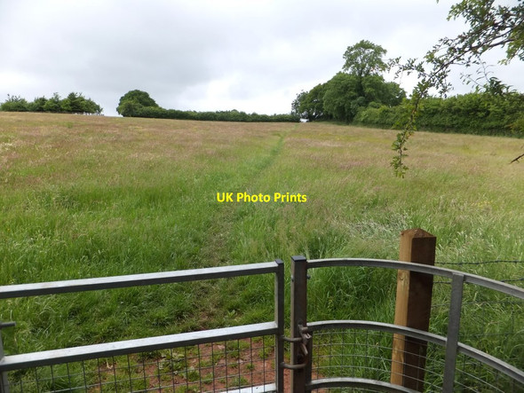 Photo 6"x4" Kissing gate and footpath Ashridge Court c2013
