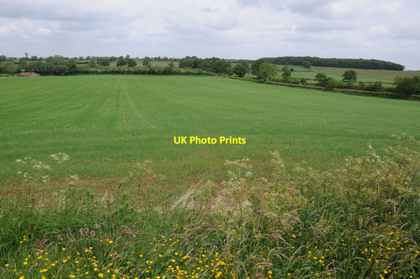 Photo 6"x4" Site of the Battle of Naseby Sibbertoft c2013