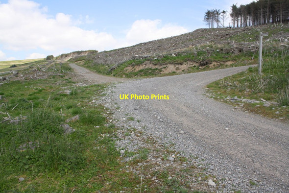 Photo 6"x4" Junction of forest tracks in Cotterdale after felling Cotterdale c2013