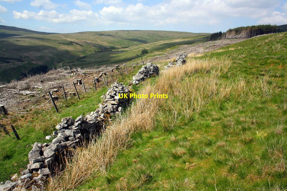 Photo 6"x4" Wall dividing forestry and open moorland Cotterdale c2013