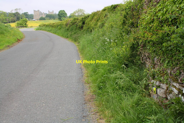 Photo 6"x4" Scallow Bank Lane looking up towards Bolton Castle Castle Bolton c2013