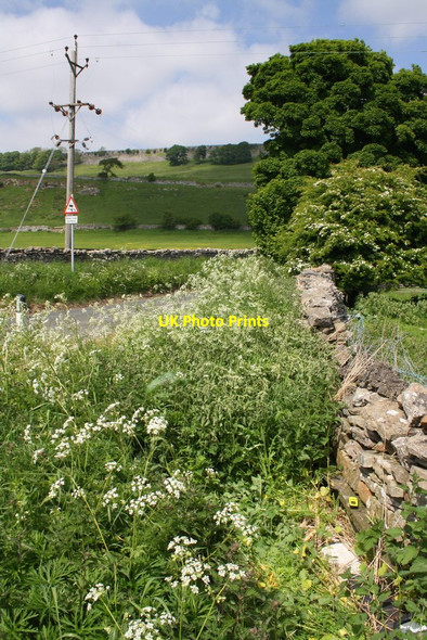Photo 6"x4" South end of Sissy Bank - the road to Richmond Redmire\/SE0491 c2013