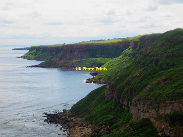 Photo 6"x4" Looking south along the coast from Lamberton Skerrs Ross\/NT9660 c2013