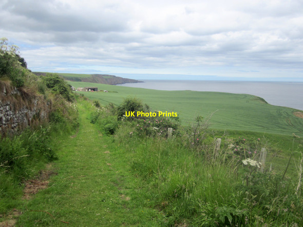 Photo 6"x4" The Berwickshire Coast Path south of Lamberton Holdings Ross\/NT9660 c2013