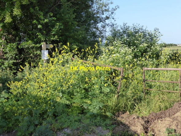 Photo 6"x4" Footpath Y30\/20 Northover\/ST5223 c2013