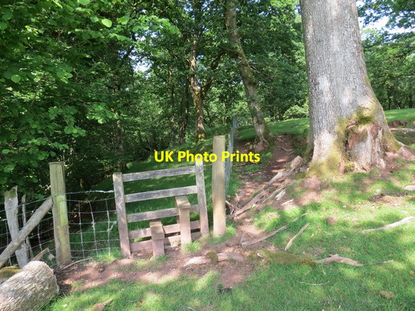 Photo 6"x4" Llwybr Cyhoeddus Maes-pant \/ Maes-pant public footpath Talsarn\/SN7726 c2013