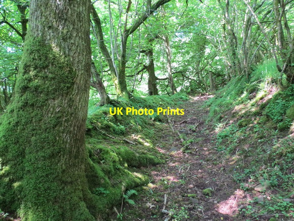 Photo 6"x4" Llwybr Ty Grain \/ Ty Grain footpath Twynllanan c2013