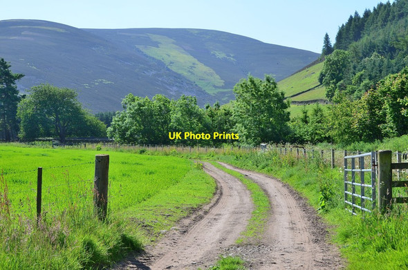 Photo 6"x4" Track beyond Hundleshope farm Hundleshope c2013