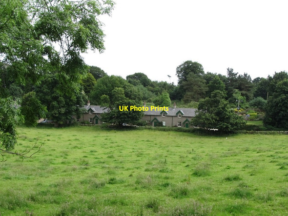Photo 6"x4" Cottages in Green Row, Castleward Strangford\/J5849 c2013