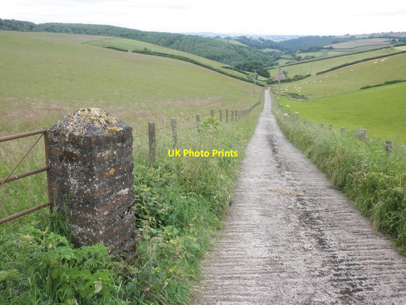 Photo 6"x4" Track towards the New Cottages, Chubworthy Farm Chipstable c2013