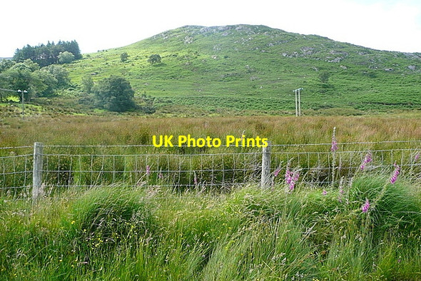 Photo 6"x4" View towards Bird Hill Kilgarvan c2013