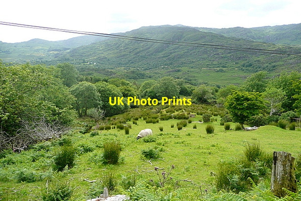 Photo 6"x4" View into Coomhola River valley Kealkill c2013