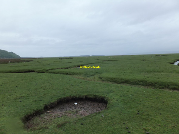 Photo 6"x4" Typical estuarine salting Landimore c2013