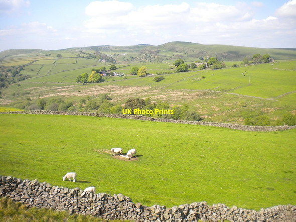 Photo 6"x4" Sheep pasture, Wilshaw Farm Hollinsclough c2013