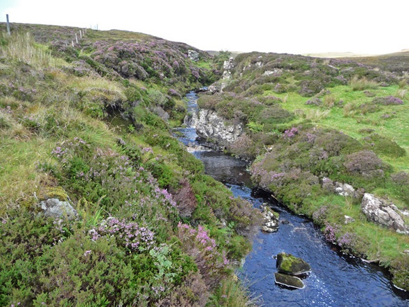 Photo 6"x4" Abhainn a' Ghlinne Geary c2008