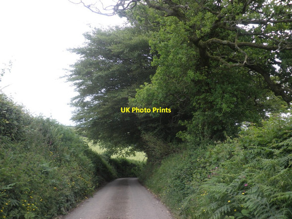 Photo 6"x4" Minor road to Waterrow Waterrow c2013