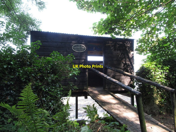 Photo 6"x4" The Eagleson Hide overlooking the Castleward Refuge Area Strangford\/J5849 c2013