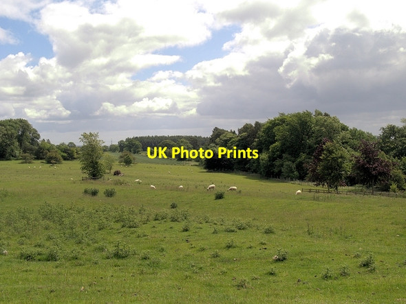 Photo 6"x4" Belsay Estate Belsay c2013