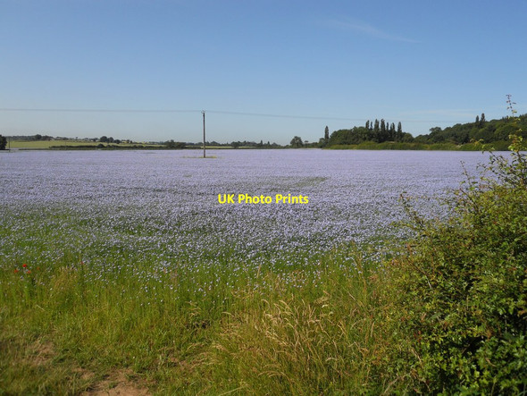 Photo 6"x4" Princethorpe Farmland Eathorpe c2013